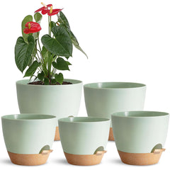 自动浇水花盆-5PCS-DQ-C-0078