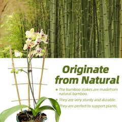 花架-40CM(16")-3杆4纵-5PCS-X0040MEW7R