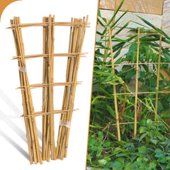 花架-60CM（16"）-3杆4纵-10PCS-X004I4TPV5