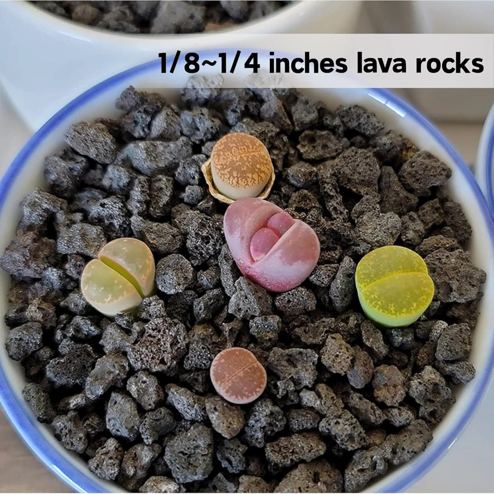 黑火山石-3-6MM-9LB-DQ-C-0075
