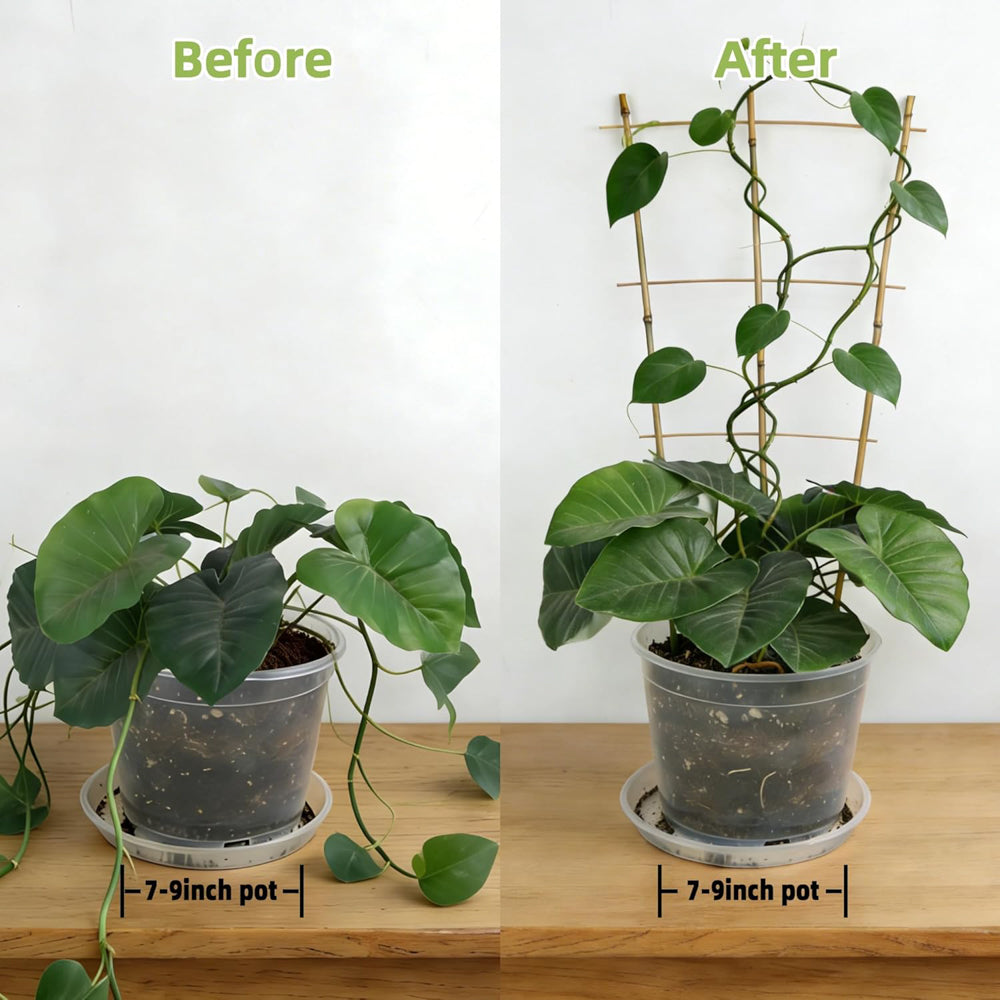 花架-40CM（16"）-3杆4纵-5PCS-X0040MEW7R