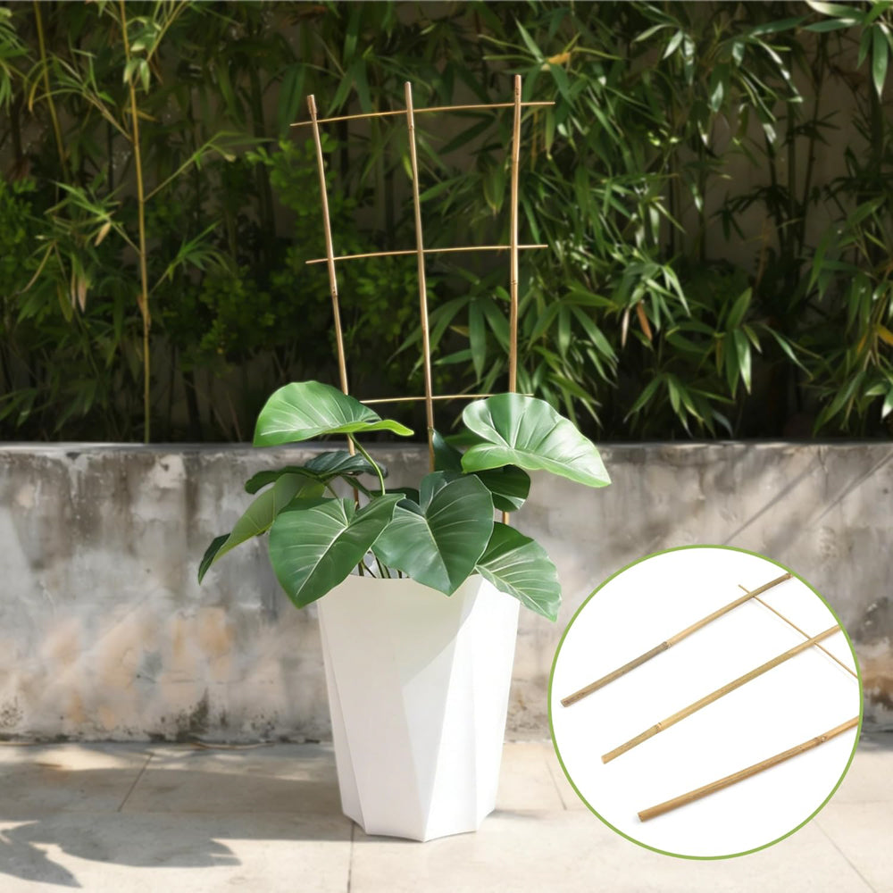 花架-40CM（16"）-3杆4纵-5PCS-X0040MEW7R